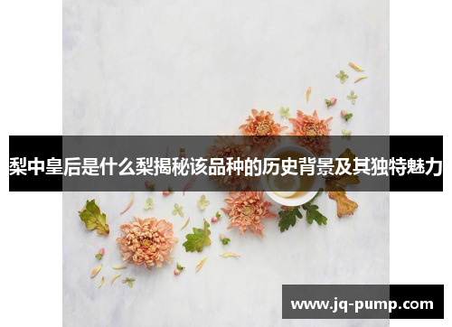 梨中皇后是什么梨揭秘该品种的历史背景及其独特魅力 梨中皇后是什么梨揭秘该品种的历史背景及其独特魅力